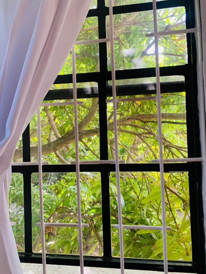 Ocean View Apartments บริดจ์ทาวน์ ภายนอก รูปภาพ